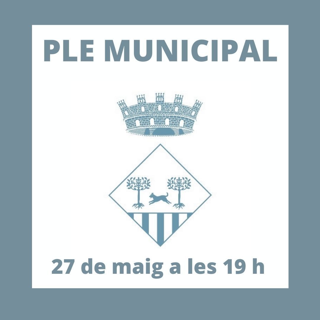 2021 05 25 Ple Municipal
