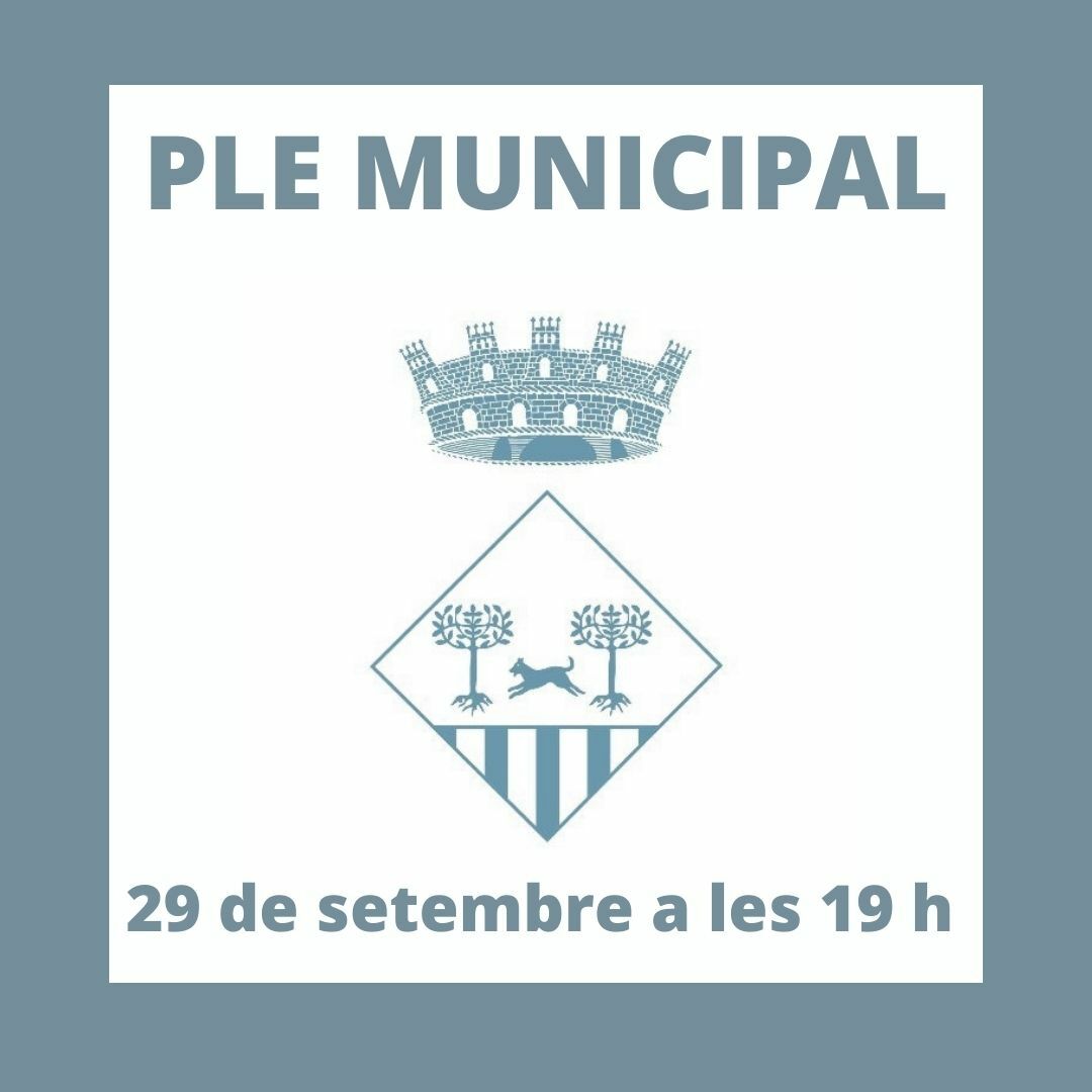 2021 09 29 Ple Municipal