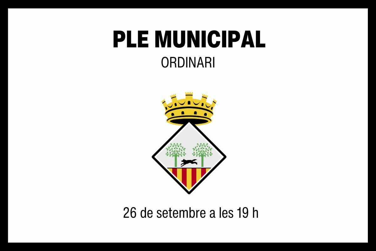 2024 09 26 Ple Municipal