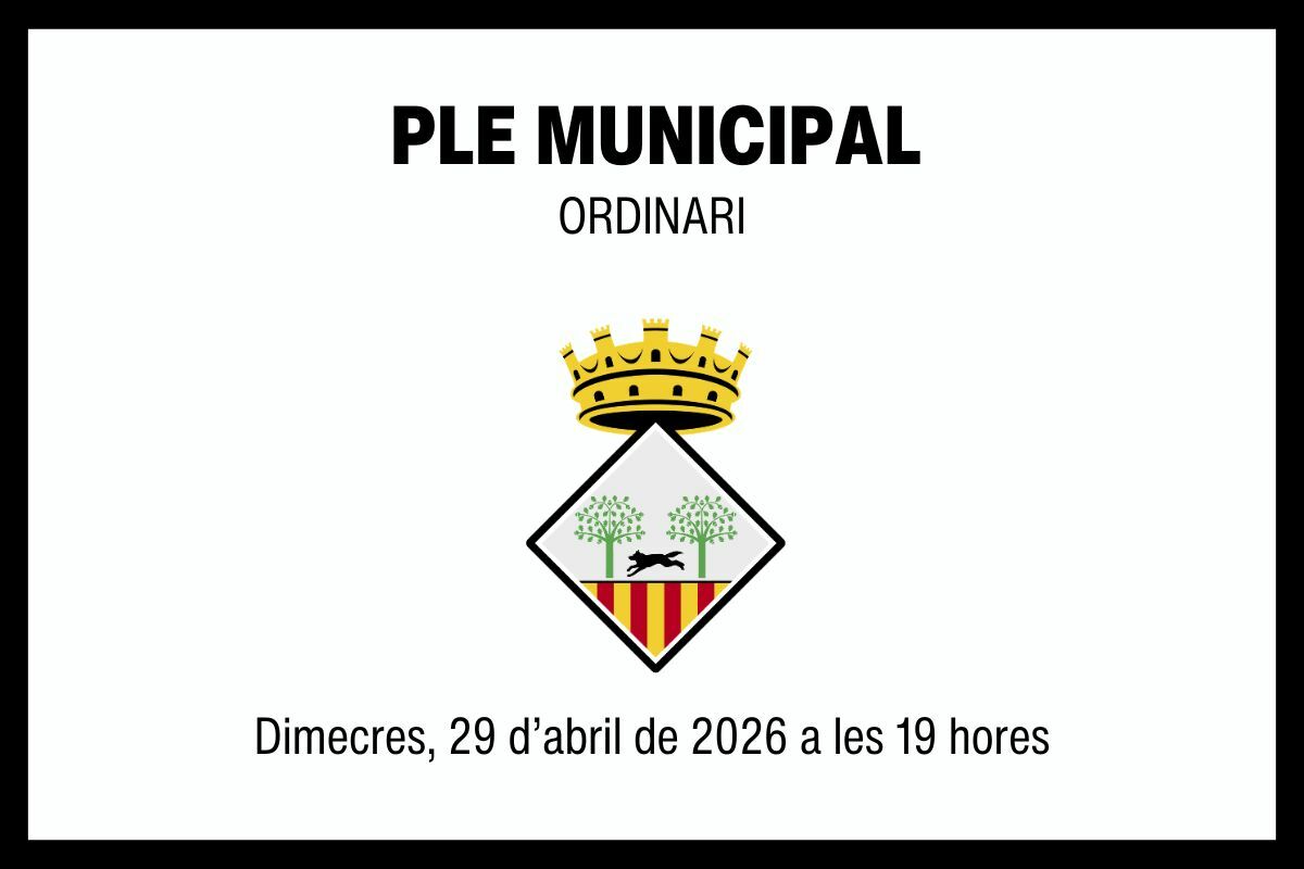 Ajuntament de Cassà 2026 04 29 Ple ordinari