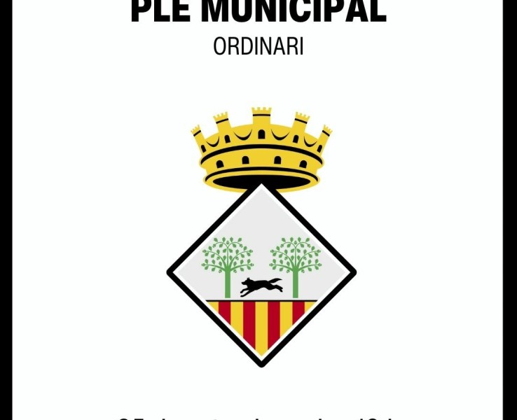 Ple municipal ordinari del 26 de setembre de 2025