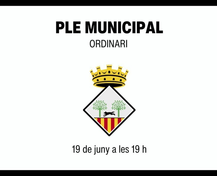 Ple municipal ordinari del 19 de juny de 2025