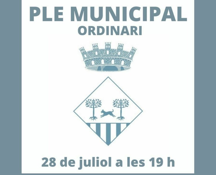 Celebració del Ple municipal ordinari del 28 de juliol a les 19 h