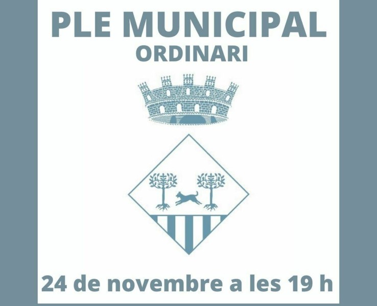 Celebració del Ple municipal ordinari, el 24 de novembre a les 19 h