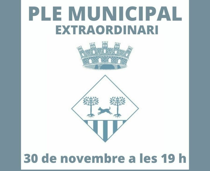 Celebració del Ple municipal extraordinari el 30 de novembre a les 19 h