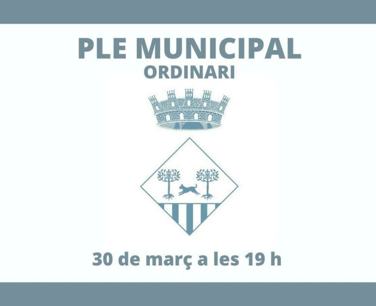 Celebració del Ple municipal ordinari del 30 de març de 2023 a les 19 h