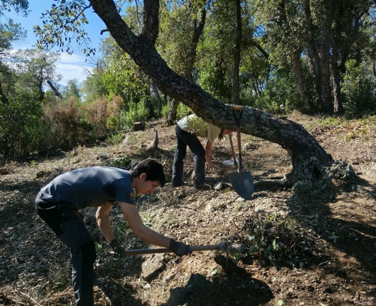 Comencen les excavacions al jaciment del Puig del Castellar de Cassà