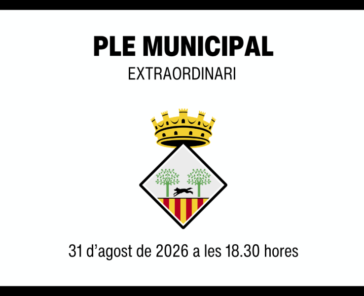 Ple municipal extraordinari del 31 d'agost de 2026
