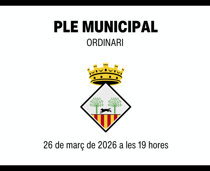 Ple municipal ordinari del 26 de març de 2026