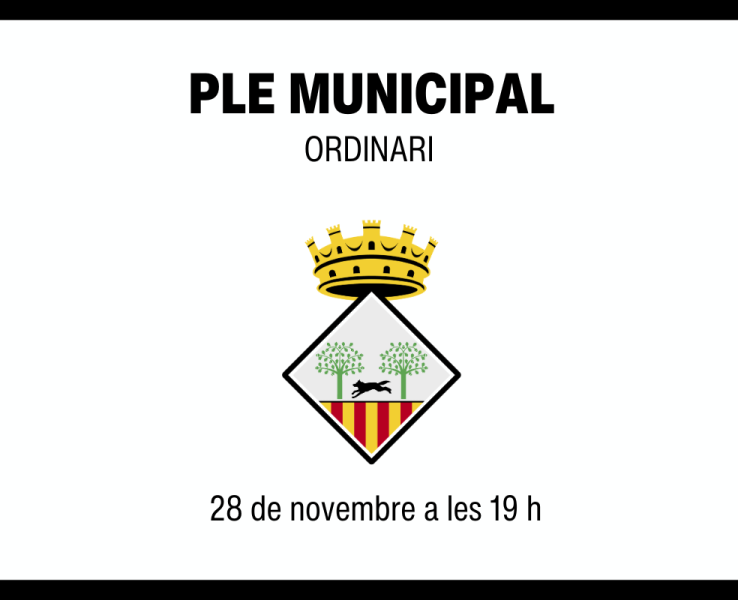 Celebració del ple municipal ordinari del 28 de novembre