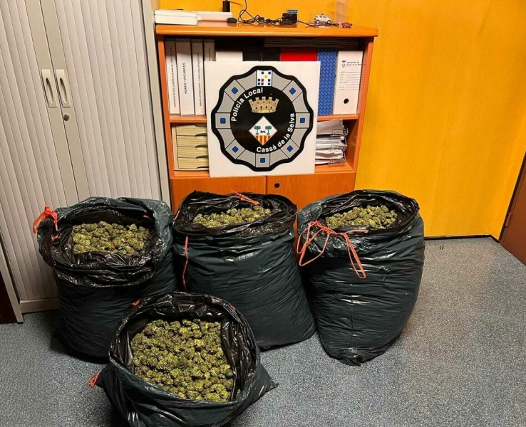 La Policia Local de Cassà deté un home amb 79 kg de cànnabis