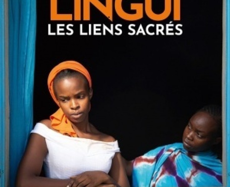 El Cineclub Vuitimig arrenca la temporada 2026 amb cinema documental, grans clàssics i musicals